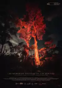 Plakat filmu Las memorias perdidas de los árboles