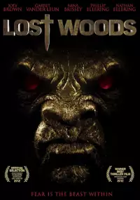 Plakat filmu Lost Woods