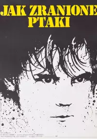 Plakat filmu Jak zranione ptaki