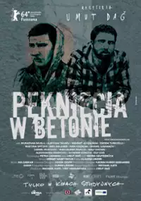 Plakat filmu Pęknięcia w betonie