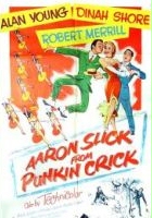 plakat filmu Aaron Slick from Punkin Crick