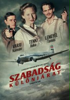 plakat filmu Freedom Flight