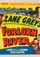 plakat filmu Forlorn River