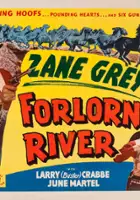 plakat filmu Forlorn River