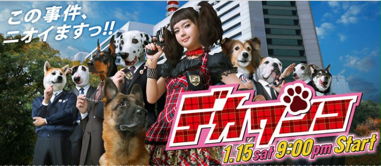 Deka Wanko (Serial TV 2011- ) - Filmweb