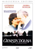 plakat filmu Cienista dolina