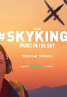 plakat filmu #SKYKING