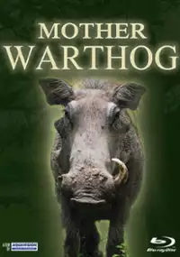 Plakat filmu Matka guźc&oacute;w