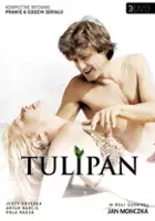 J&oacute;zef Kalita / Tulipan