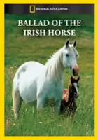 Dennis B. Kane / Ballad of the Irish Horse