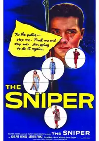 Plakat filmu The Sniper