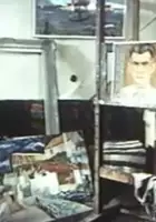 plakat filmu Petar Dobrovic