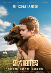Plakat filmu Palma
