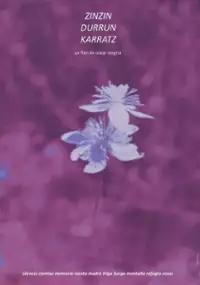 Plakat filmu Zinzindurrunkarratz