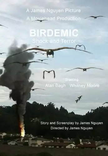 plakat filmu Ptakodemia