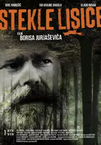 Plakat filmu Stekle lisice