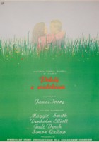 plakat filmu Pokój z widokiem