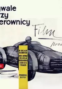 Plakat filmu Rywale przy kierownicy