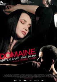 Plakat filmu Domena