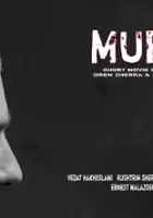 Vedat Haxhiislami / Muri