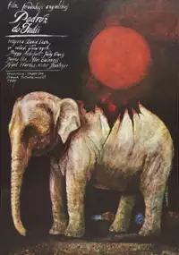 Plakat filmu Podróż do Indii