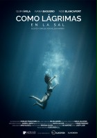 plakat filmu Como lágrimas en la sal