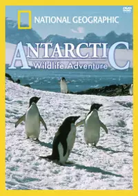 Plakat filmu Antarctic Wildlife Adventure