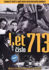 Plakat filmu 713 prosit posadku
