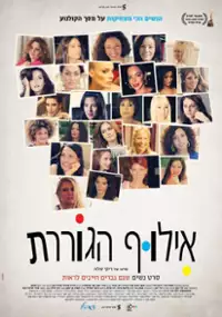 Plakat filmu Ladies First