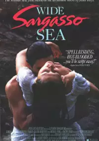 Plakat filmu Bezkresne Morze Sargassowe