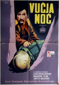 Plakat filmu Vučja noc