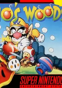 Plakat gry Wario no Mori