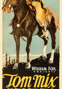 Plakat filmu The Arizona Wildcat