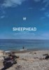 Sheephead