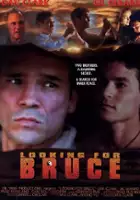 plakat filmu Looking for Bruce