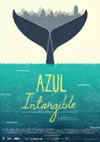 Rodolfo Juarez / Azul Intangible