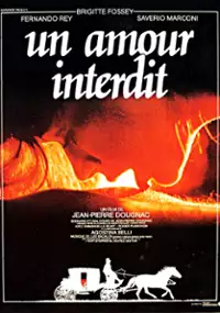 Plakat filmu Zakazana miłość