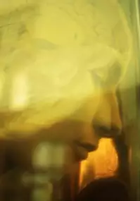 Plakat filmu Alienadas