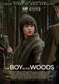 Plakat filmu Chłopiec w lesie