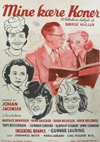Plakat filmu Mine kære koner