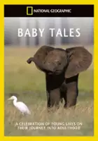 Sarah Mulvey / Baby Tales