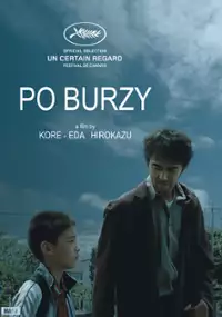Plakat filmu Po burzy