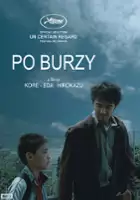 Po burzy