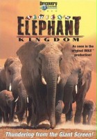 plakat filmu Królestwo słoni