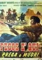 plakat filmu Pecos è qui: prega e muori