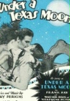 plakat filmu Pod teksańskim księżycem