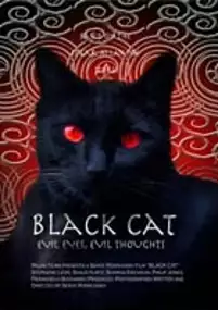 Plakat filmu Black Cat