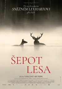 Plakat filmu Pieśni lasu