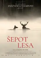 plakat filmu Pieśni lasu