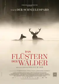 Plakat filmu Pieśni lasu
